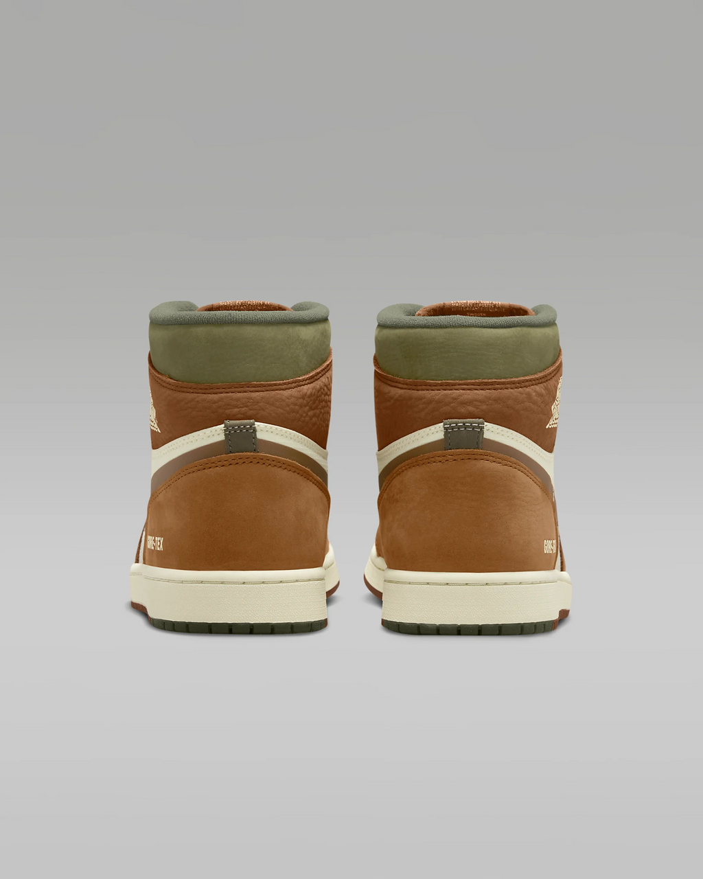 Air Jordan 1 Element #